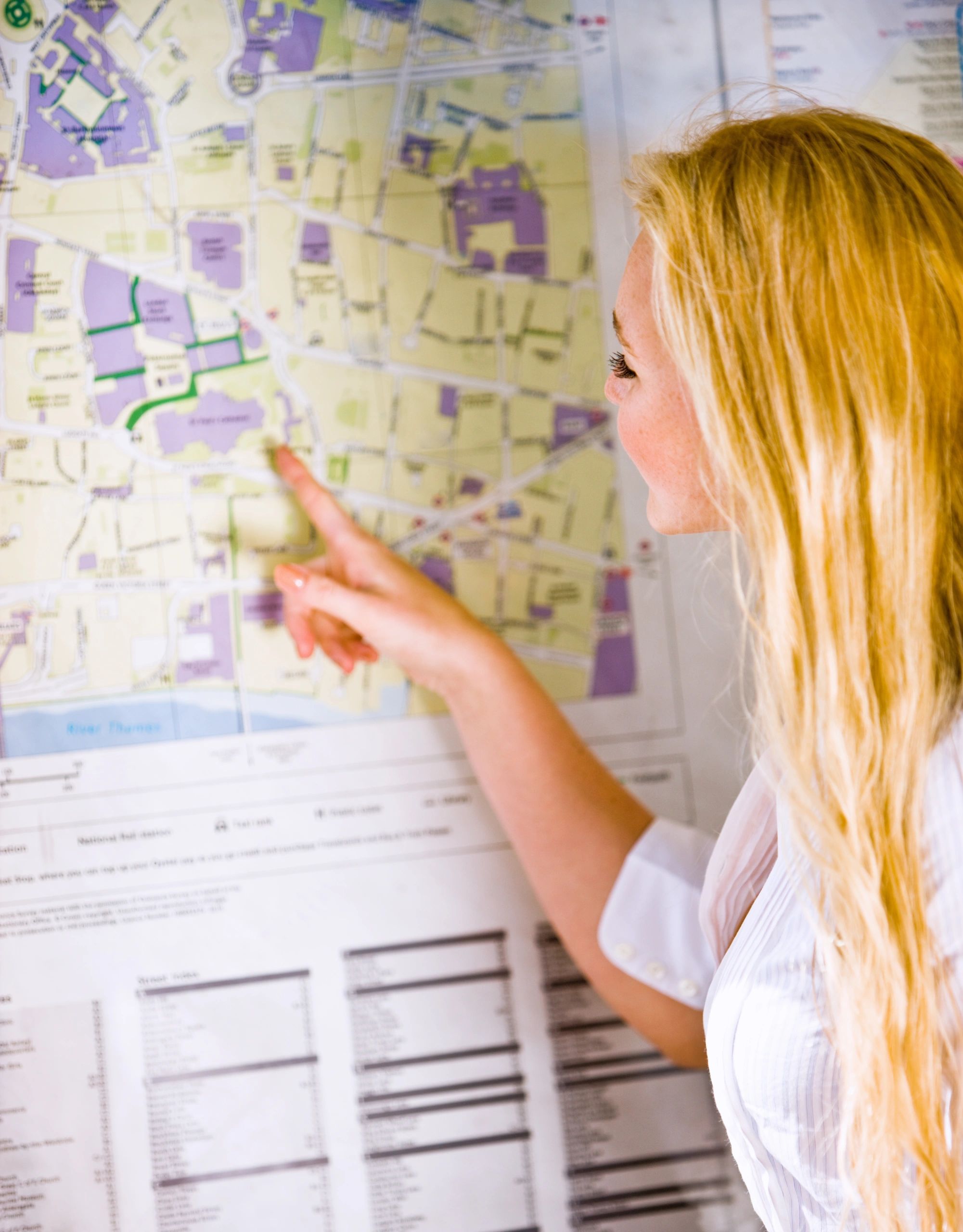 travel consultant planning map